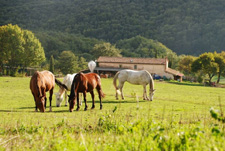 Italy-Tuscany-On Etruscan Trails in Tuscany